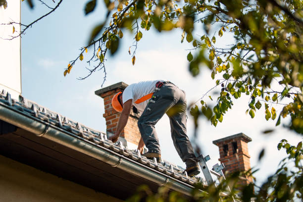 Best Roof Gutter Cleaning  in Havre De Grace, MD